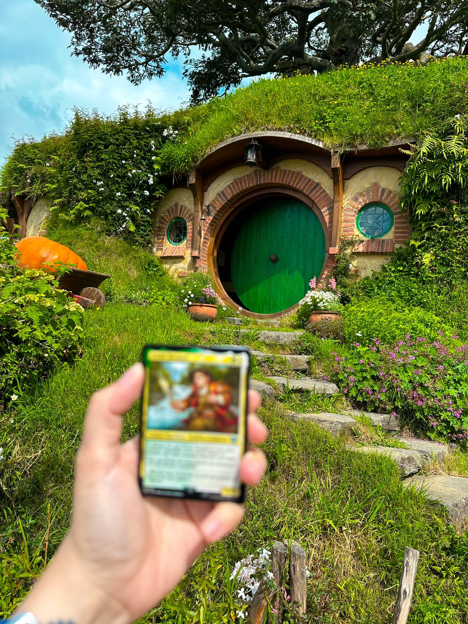 Carte Magic: The Gathering devant une maison de hobbits en Nouvelle-Zélande